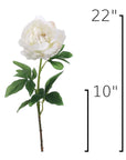 Size guide: 22 inches overall, splits at 10 inches