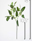 18" Faux Seeded Eucalyptus Stem