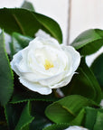 26" Faux White Camellia with Foliage Wreath
