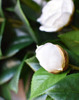 26" Faux White Camellia with Foliage Wreath