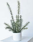 17"H Faux Rosemary Plant in Pot