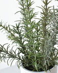 17"H Faux Rosemary Plant in Pot