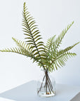 16" Sword Forest Fern in Glass Vase