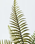 16" Sword Forest Fern in Glass Vase