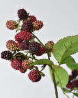 Faux raspberry stem from the side with clumps of fruit and green foliage