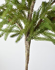 Faux Norfolk pine branch from the side with its six branches fanned open