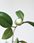 35" Faux Camellia Bloom Branch Stem Real Touch- Cream