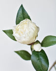 35" Faux Camellia Bloom Branch Stem Real Touch- Cream