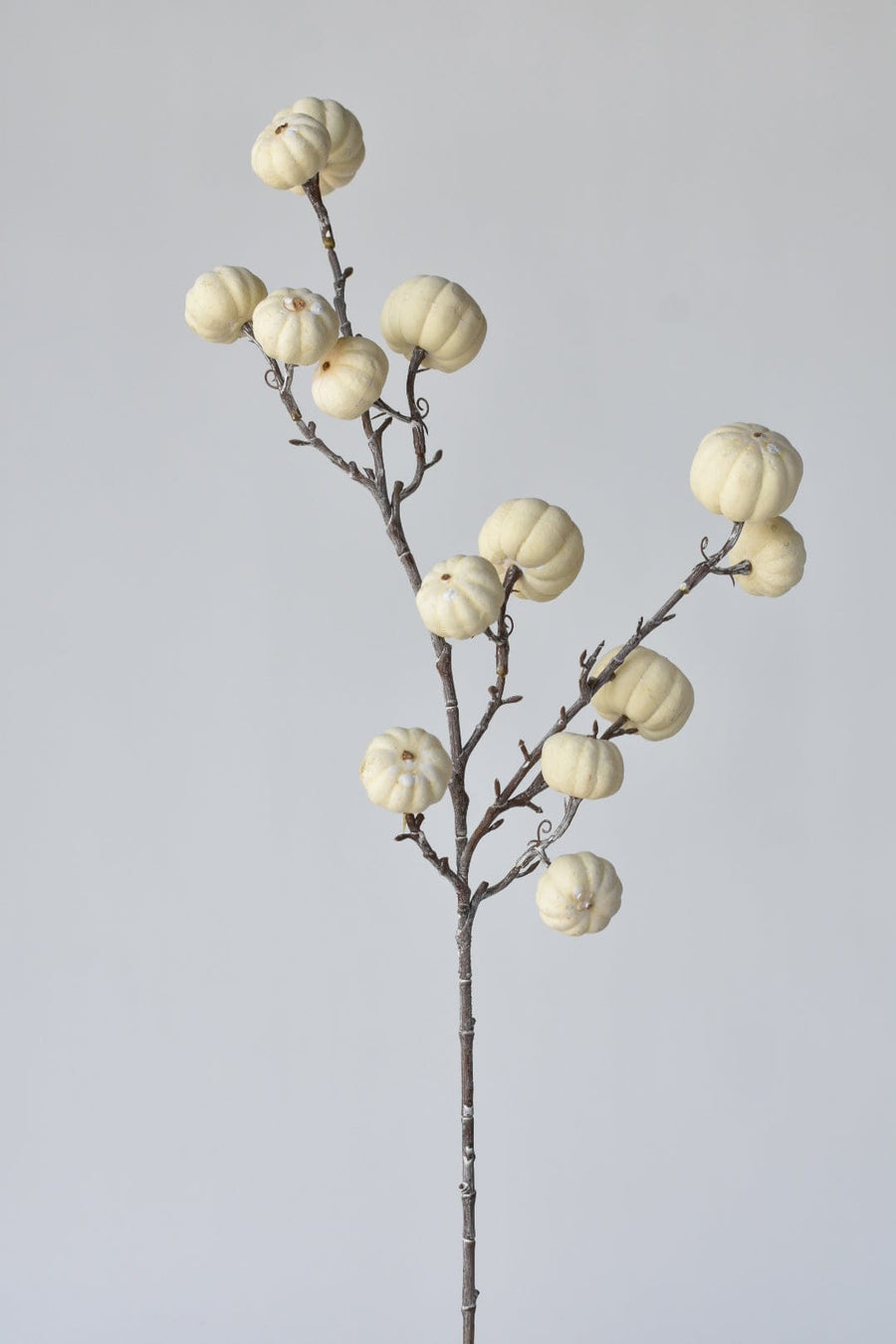 29" Faux White-Washed Pumkins On A Branch: Cream and White
