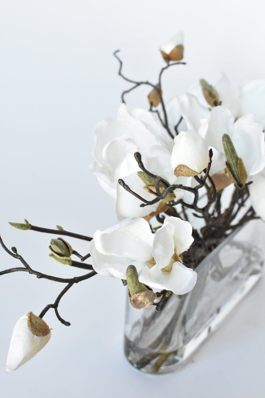 Slim White Magnolia in Glass Arrangement