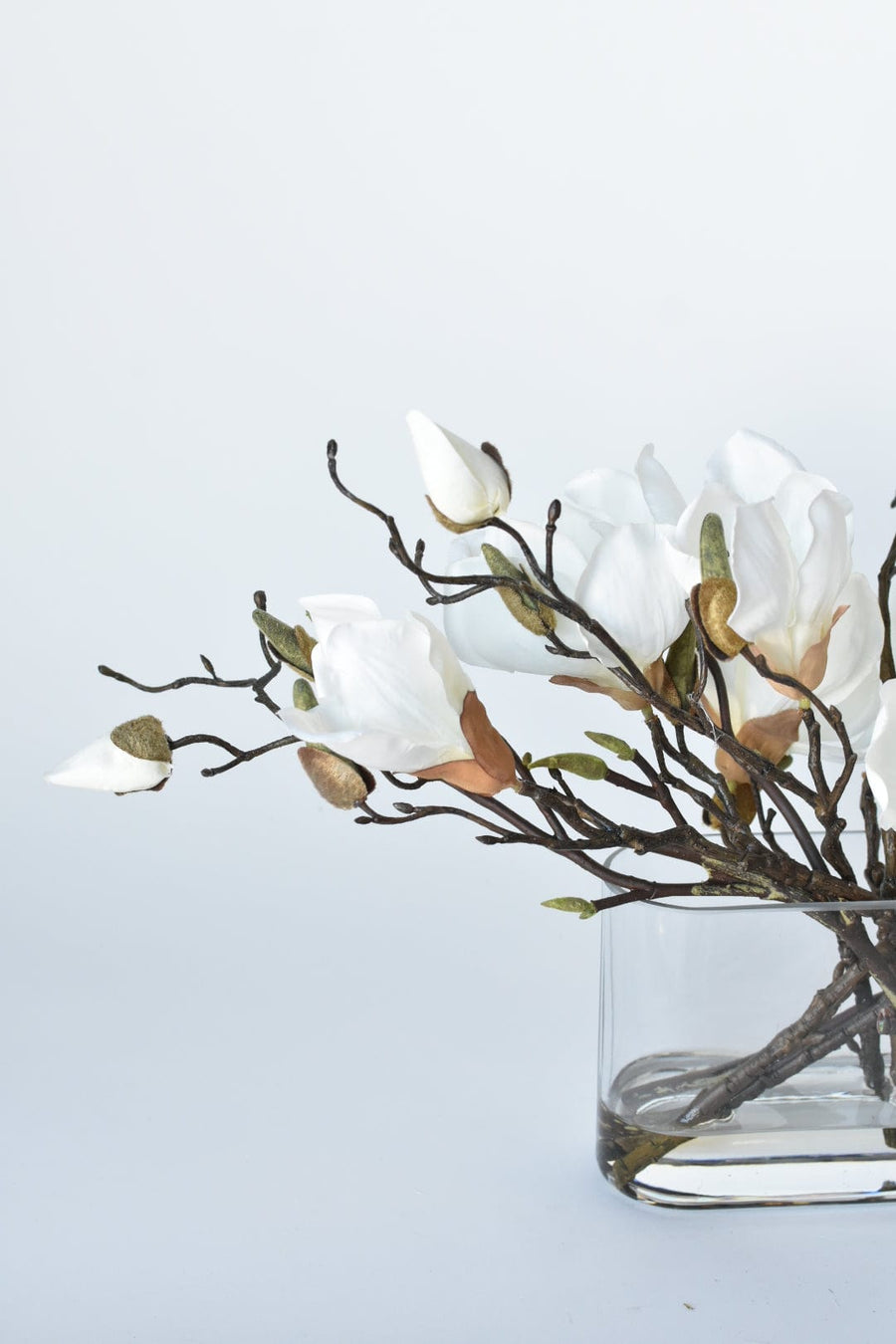 Slim White Magnolia in Glass Arrangement