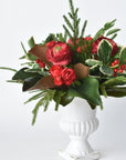 Red Ranunculus/Holly/Norfolk/Magnolia Pine Drop In X02