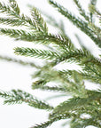 20" Faux Whitewash Green Norfolk Pine Spray Bush