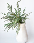 20" Faux Whitewash Green Norfolk Pine Spray Bush