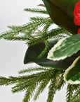 Red Ranunculus/Holly/Norfolk/Magnolia Pine Drop In X02