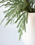 20" Faux Whitewash Green Norfolk Pine Spray Bush
