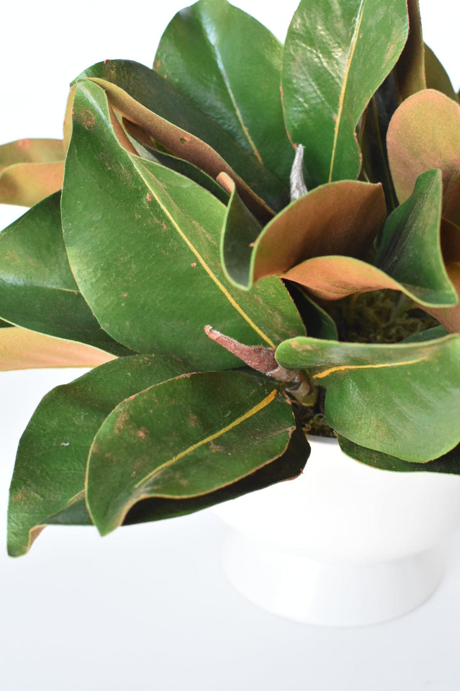 Magnolia Leaf Arrangement with Faux Ring Details