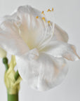 White amaryllis blooms on the potted faux arrangement