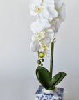 22" Faux Phalaenopsis Orchid in Blue/White Container - 1OR