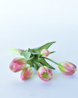 10" Faux Real Touch Pink/Yellow w/Green Stripe Tulip Stem Bundle