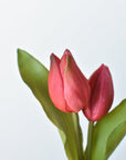 8" Faux Real Touch Fuchsia Tulips in Bulb w/pick