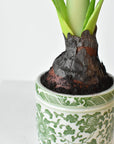 Green porcelain pot holding the faux white amaryllis