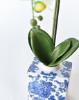 22" Faux Phalaenopsis Orchid in Blue/White Container - 1OR