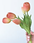 10" Faux Real Touch Peach/Coral Tulip Stem Bundle