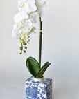22" Faux Phalaenopsis Orchid in Blue/White Container - 1OR