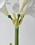Full view of the 20 inch faux white amaryllis in a green pot