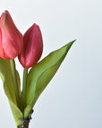 8" Faux Real Touch Fuchsia Tulips in Bulb w/pick