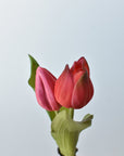 8" Faux Real Touch Fuchsia Tulips in Bulb w/pick