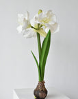 Faux white amaryllis with a hand-finished resin bulb, 21 inches tall