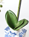 22" Faux Phalaenopsis Orchid in Blue/White Container - 1OR
