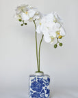 20" Faux Phalaenopsis Orchid in Blue/White Container - 2OR