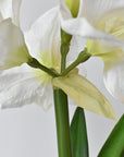 Faux standing white amaryllis showing its three wired leaves