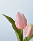 8" Faux Real Touch Soft Pink Tulips in Bulb w/pick