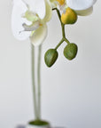 20" Faux Phalaenopsis Orchid in Blue/White Container - 2OR