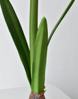 Full view of the 21 inch faux standing white amaryllis with bulb