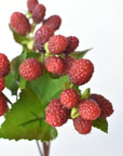 12" Faux Raspberry Stem Bundle