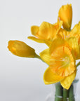 10" Faux Daffodil in Acrylic Water