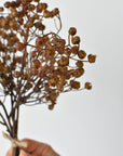 Faux dried brown baby's breath bundle held in hand, full length shown