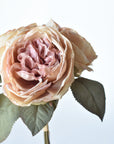 12.5" Faux Dried Cabbage Rose Tea Stained Pink