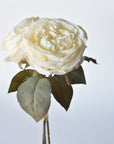 12.5" Faux Dried Cabbage Rose Bundle