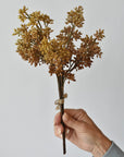 Hand holding a 12-inch faux beige sedum stem bundle
