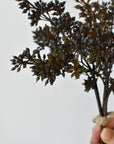 Faux dark brown sedum bundle held in hand showing the tied base