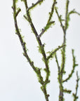 38" Faux Plastic Tree Branch With Moss