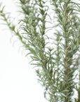 24" Faux Rosemary Bush