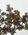 Faux sedum bundle in hand showing brown shifting into green across the berries