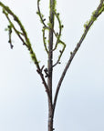 38" Faux Plastic Tree Branch With Moss